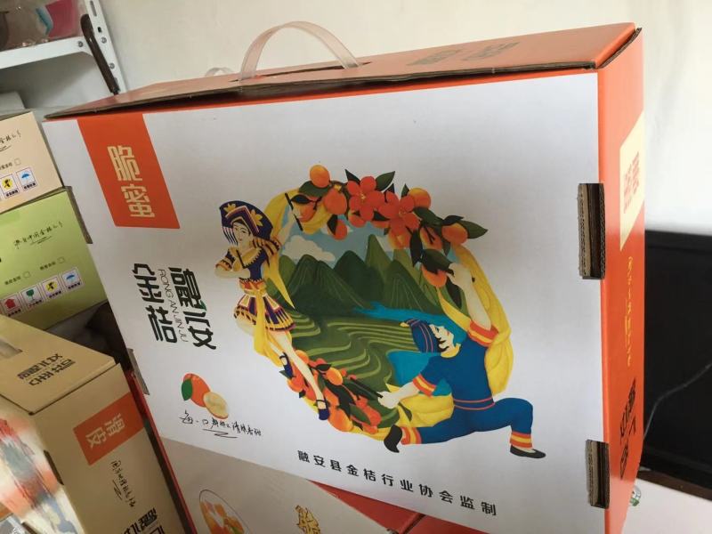 【一件代发】广西融安金桔滑皮新鲜水果当季整箱8斤包邮现摘现发
