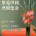剑兰鲜切花唐菖蒲剑兰广东广州本地基地直发全国