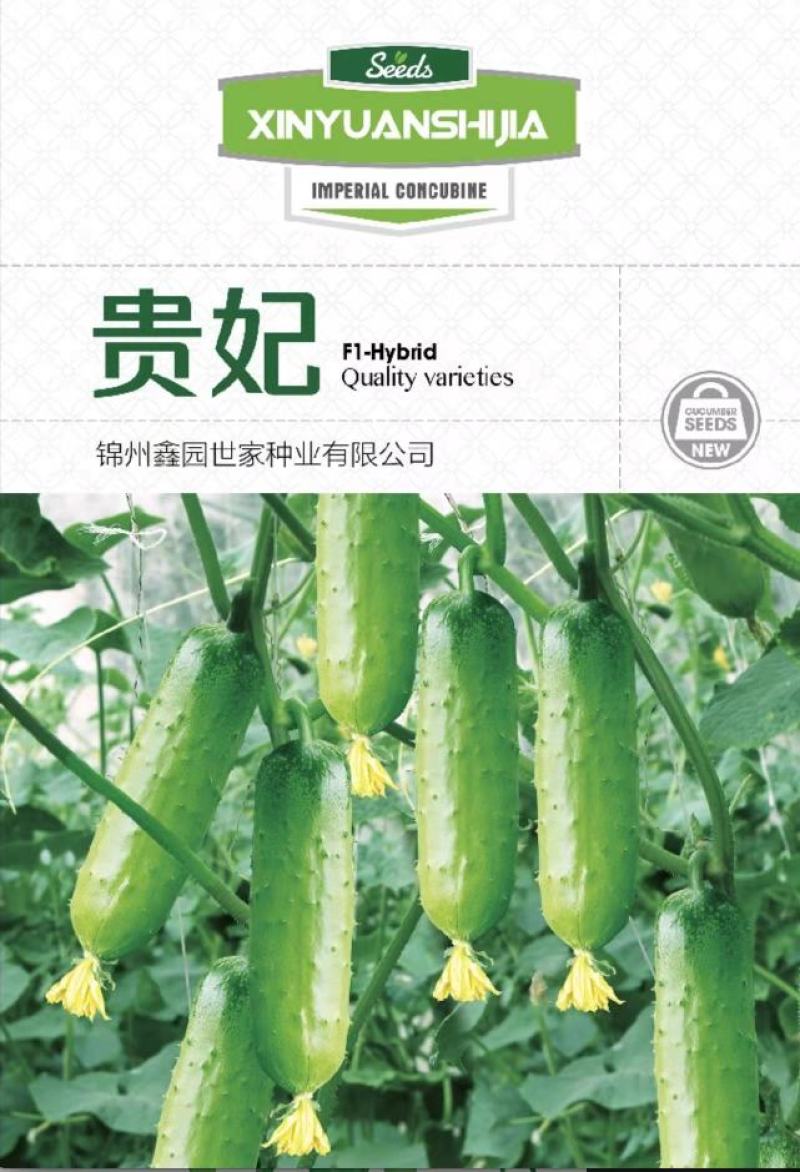 水果黄瓜种子贵妃甜脆嫩油绿全雌瓜码密产量高