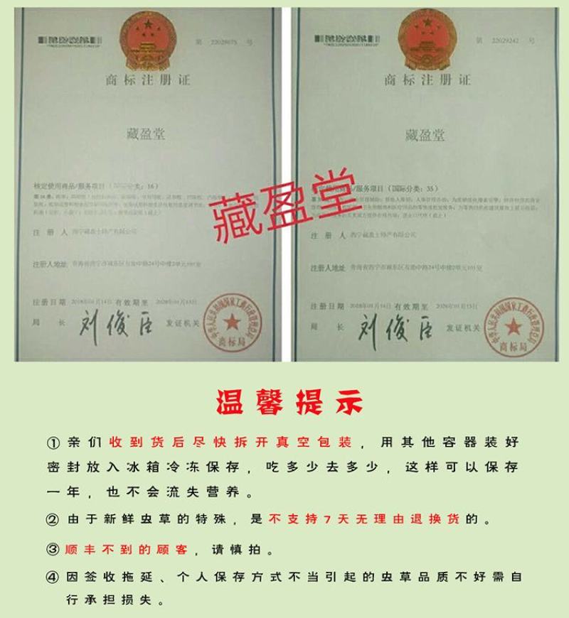 2022年藏盈堂青海黄蘑菇97%的人没吃过无法人工种植