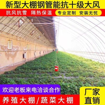 蔬菜大棚圆管骨架定做厂家生产规格齐全支持定制
