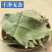 金叶子，干货道地药材，药典标准，产地供货低价直销线上交易