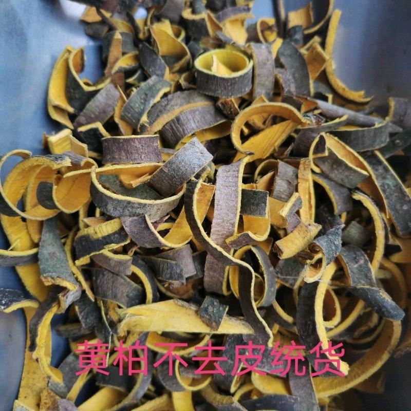 黄柏四川无硫净货规格齐全一公斤起发货