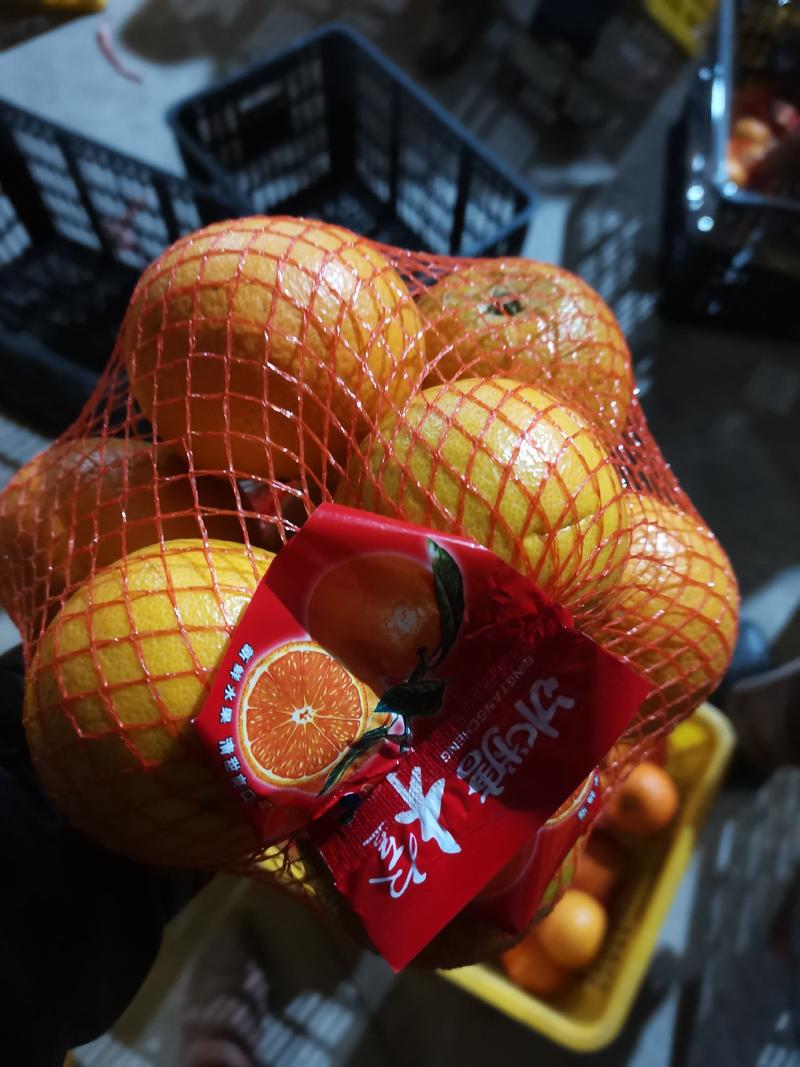 湖南冰糖橙光头果，电商果，超甜新鲜上市中