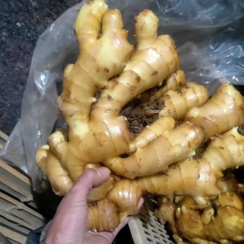 山东精品鲜生姜，原产地直发，货源充足