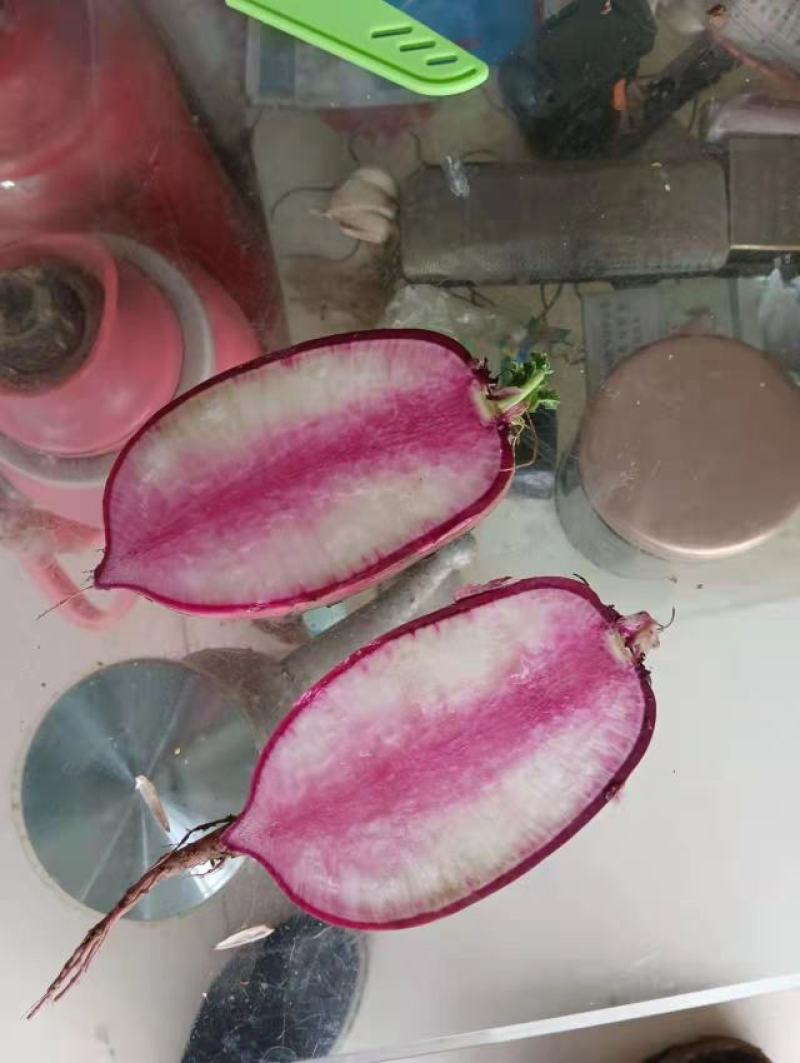 冰激凌萝卜