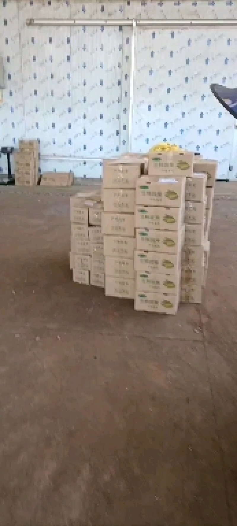 广东水果玉米特产农家种植现摘带皮玉米笋玉米芯新鲜现发包邮