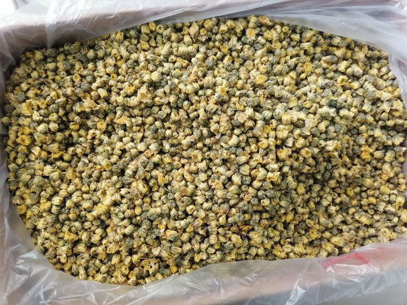 厂家直销优质胎菊散装批发菊花茶产地直供花草茶花果茶甘菊花