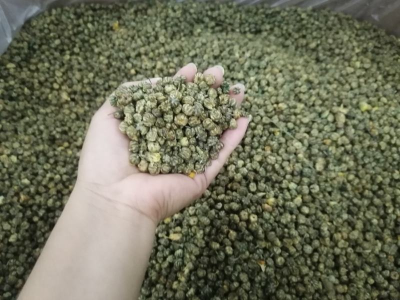 小胎菊米散装胎菊米菊花茶花果茶花草茶小胎米厂家直销