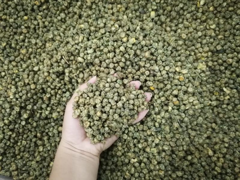 小胎菊米散装胎菊米菊花茶花果茶花草茶小胎米厂家直销