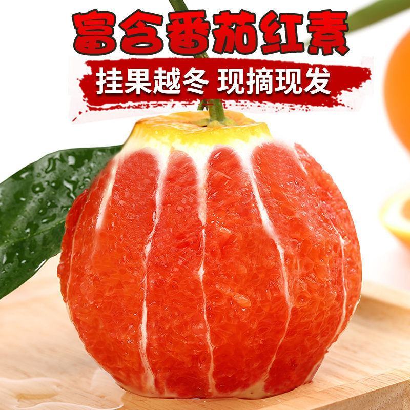 血橙重庆血橙精品血橙酸甜适口基地供应量大从优