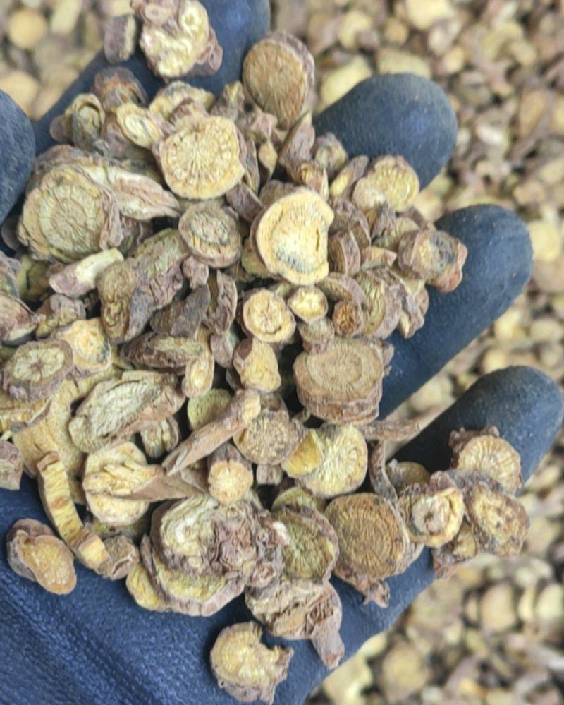 黄芩主营黄芩干货切片量大常年经营各种规格黄芩