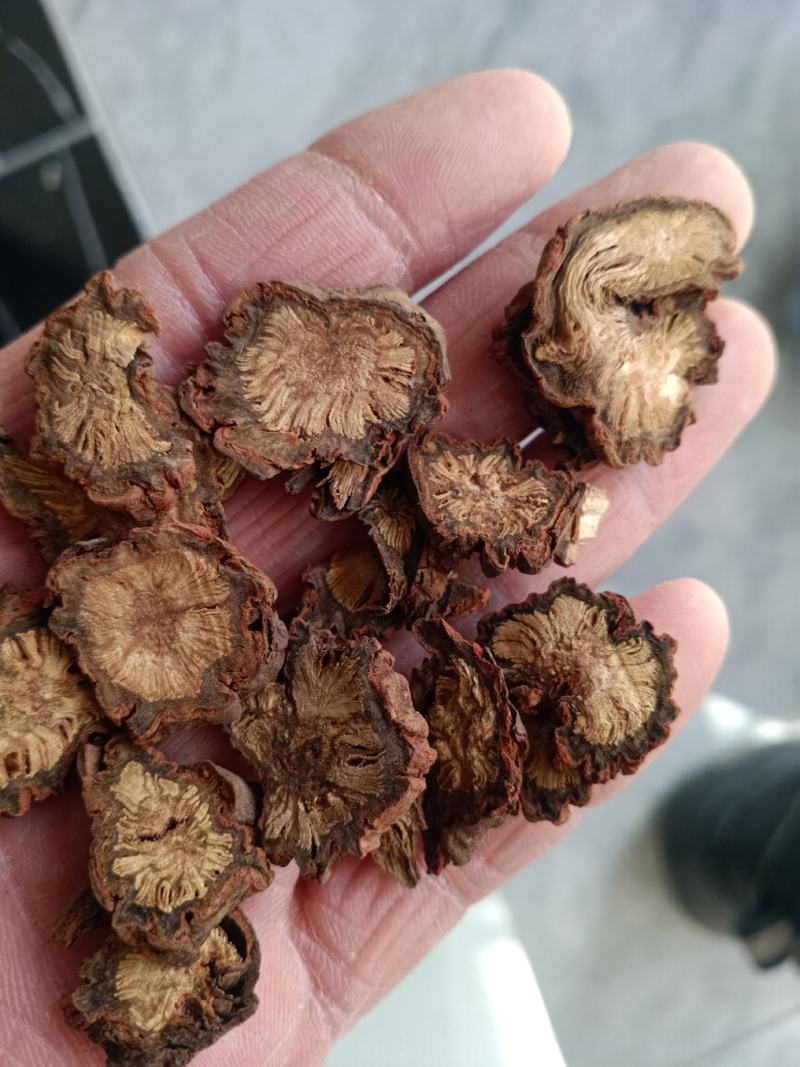 紫丹参，丹参，红皮丹参片质量保证！欢迎咨询选购