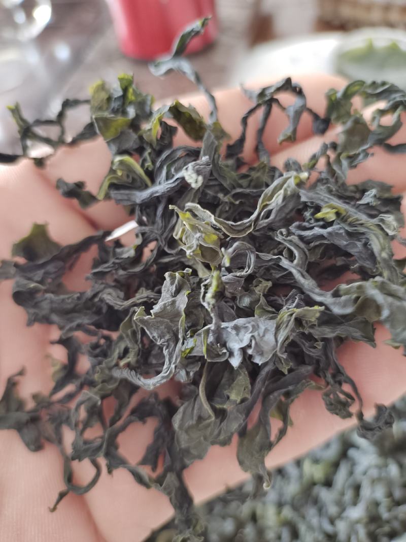 现主播代发烘干裙带菜淡干厂家直销批发250g，100g,