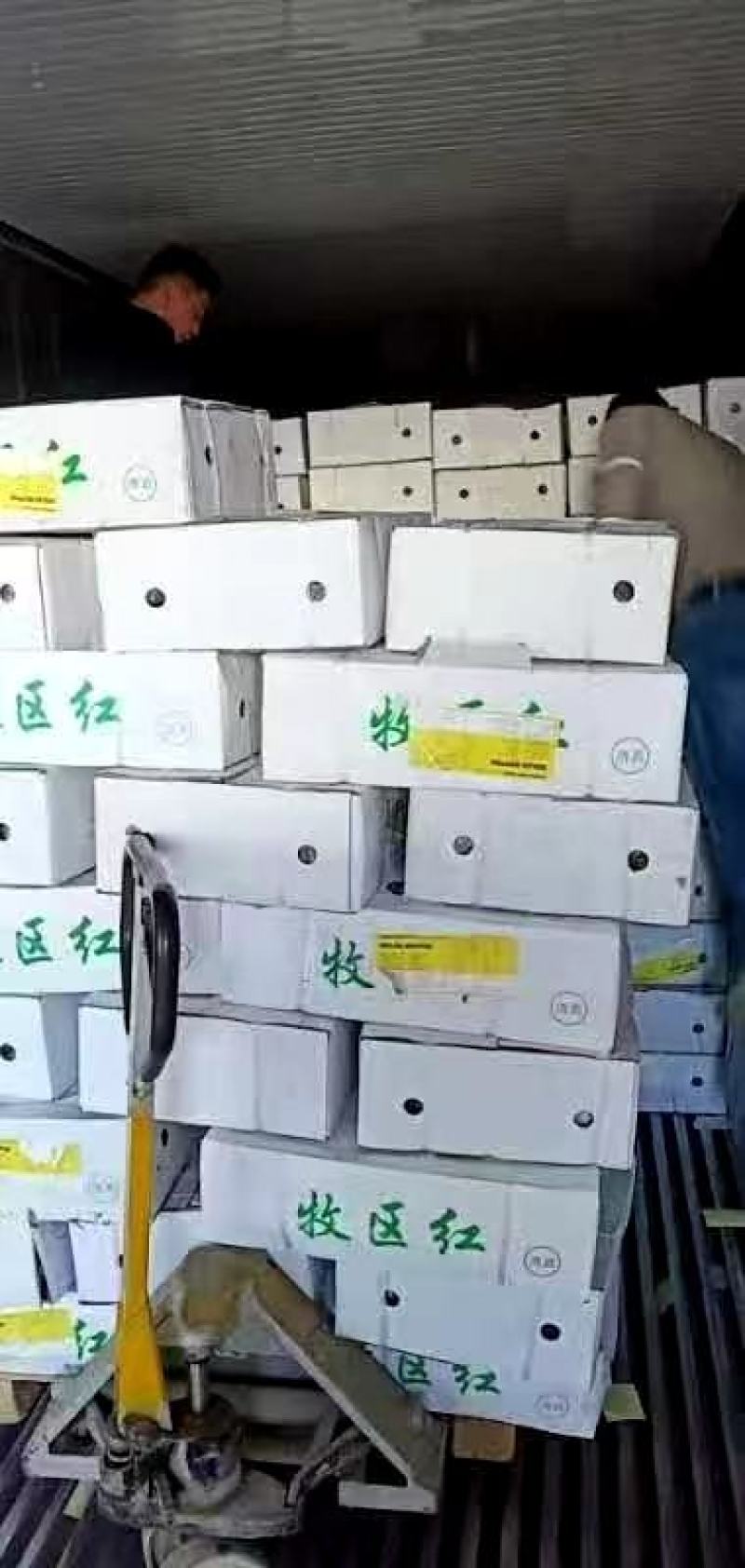 牧区红熟羊肉，蒙犇羴熟羊肉，草原之星熟羊肉，精修块大无油