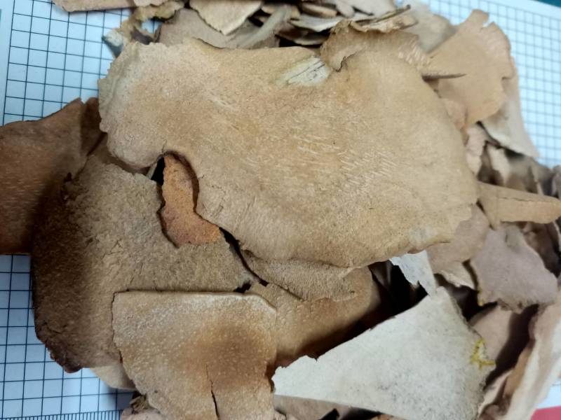 广西土茯苓片干500g新鲜切片干货无硫干片中药材正品官方
