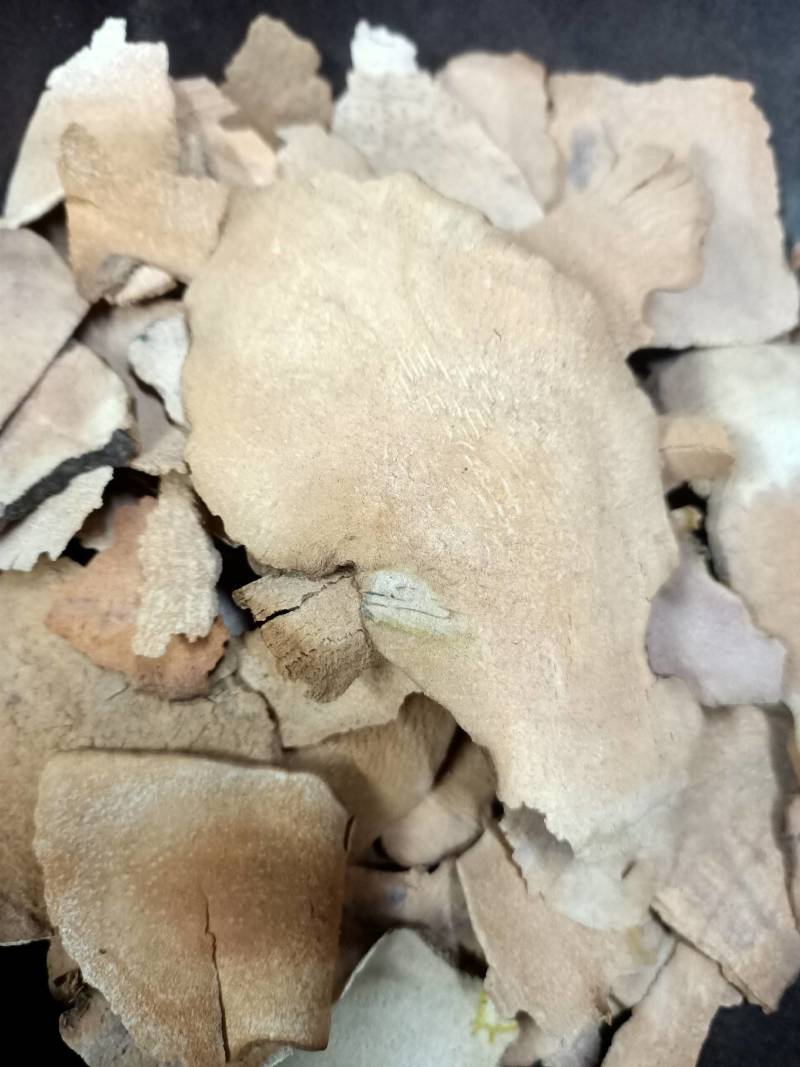 广西土茯苓片干500g新鲜切片干货无硫干片中药材正品官方