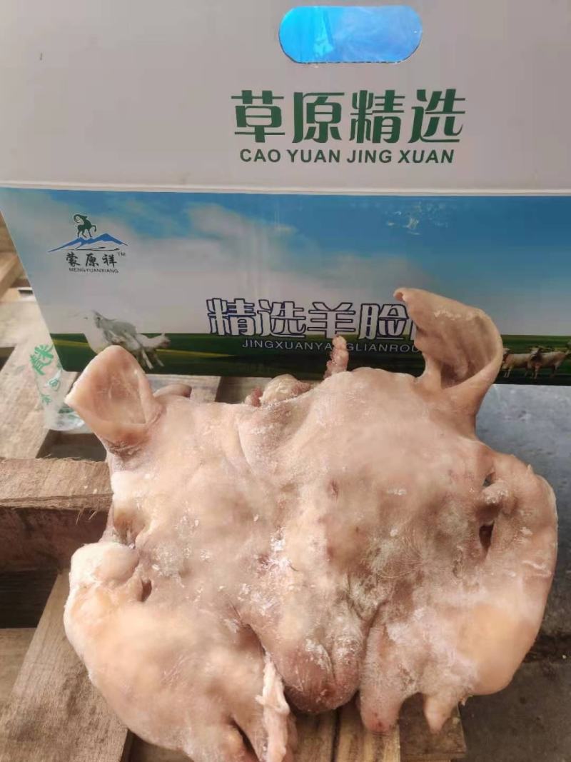 内蒙纯白羊头肉，羊脸肉，羊副，八成熟，质量好，价格合适