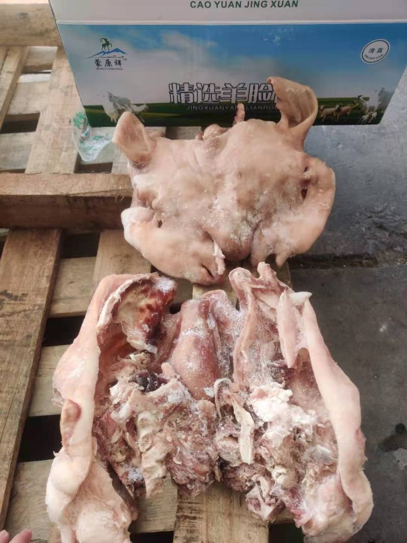 内蒙纯白羊头肉，羊脸肉，羊副，八成熟，质量好，价格合适