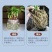5%吲哚丁酸·萘乙酸花卉多肉扦插移栽生根液提高成活率生长