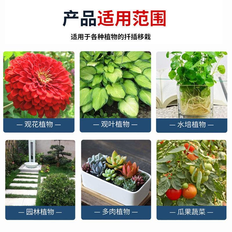 5%吲哚丁酸·萘乙酸花卉多肉扦插移栽生根液提高成活率生长