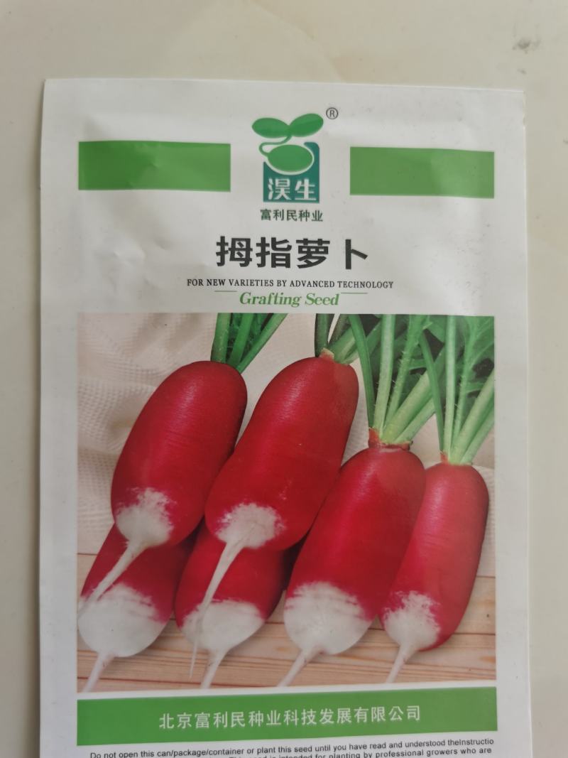 手指樱桃萝卜种子迷你樱桃萝卜种籽水果小萝卜籽四季播蔬菜种