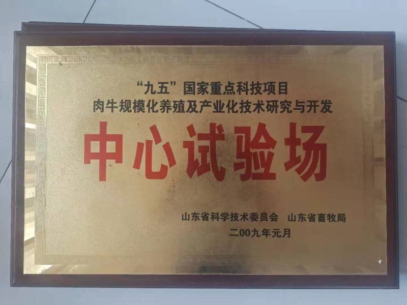 小尾寒羊免费送货货到付款在平台关注浏览人高养殖场