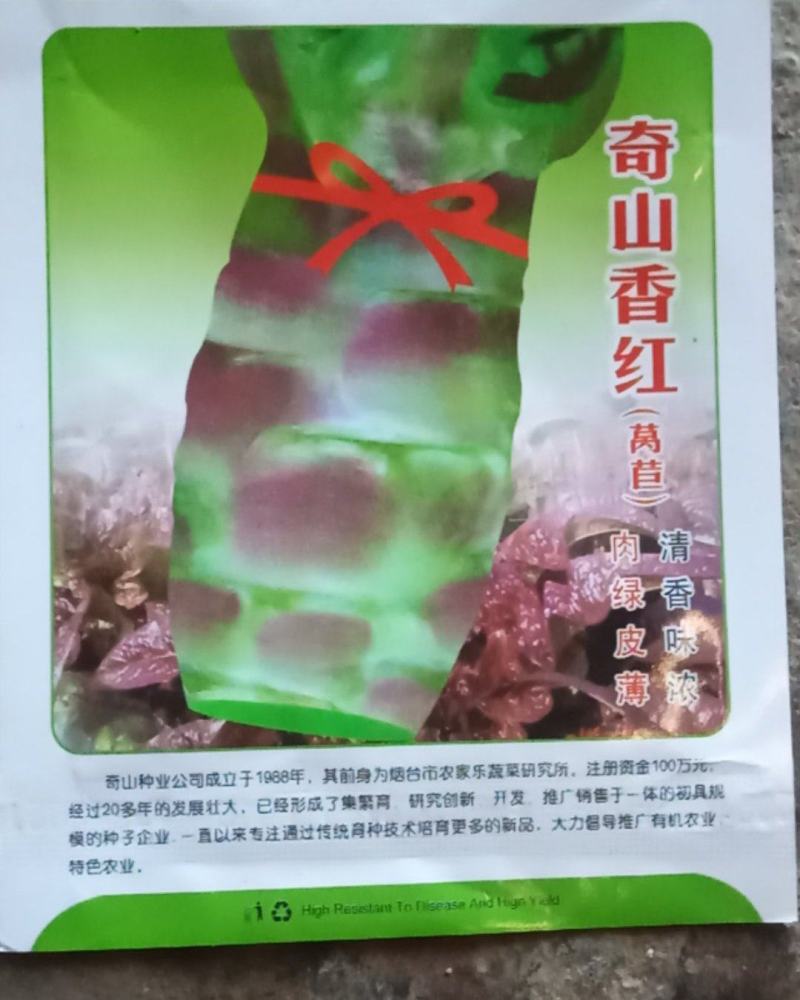 《奇山香红》红叶莴笋苗，品种优良，耐寒耐冻