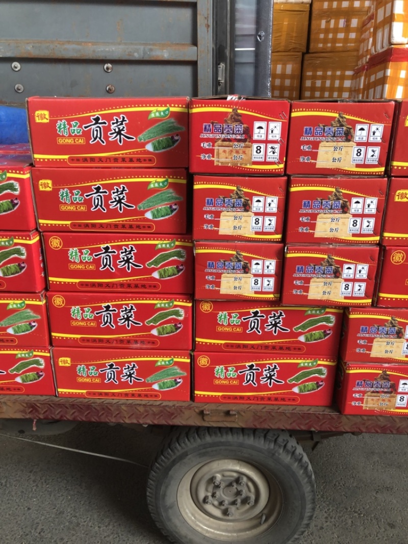 精品干贡菜，台菜干莴笋干，苔干菜，云南贡菜