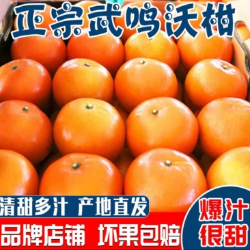 精品大果包邮广西武鸣沃柑产地直发现摘现发团购送礼电商