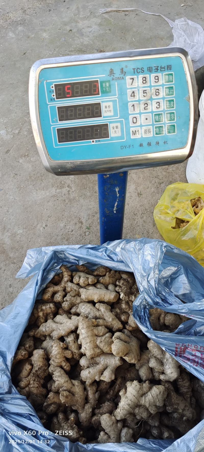 瑶山香辣火姜，黄姜，老姜头（老姜母）21年新上市，挑选好