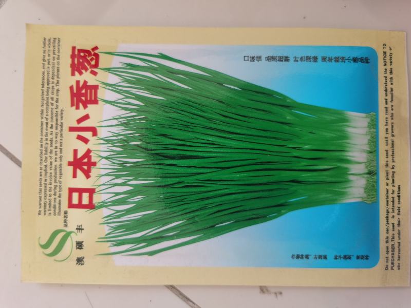 细香葱种子高产种籽小葱蔬菜孑四季播籽种阳台菜籽盆栽菜种