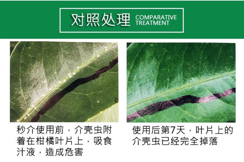 中迅秒介30%噻虫胺·噻嗪酮果树柑橘花卉介壳虫蚧壳虫