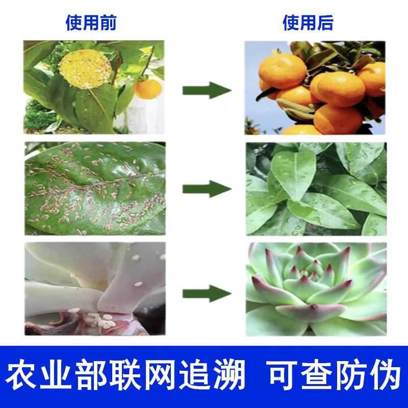 中迅秒介30%噻虫胺·噻嗪酮果树柑橘花卉介壳虫蚧壳虫