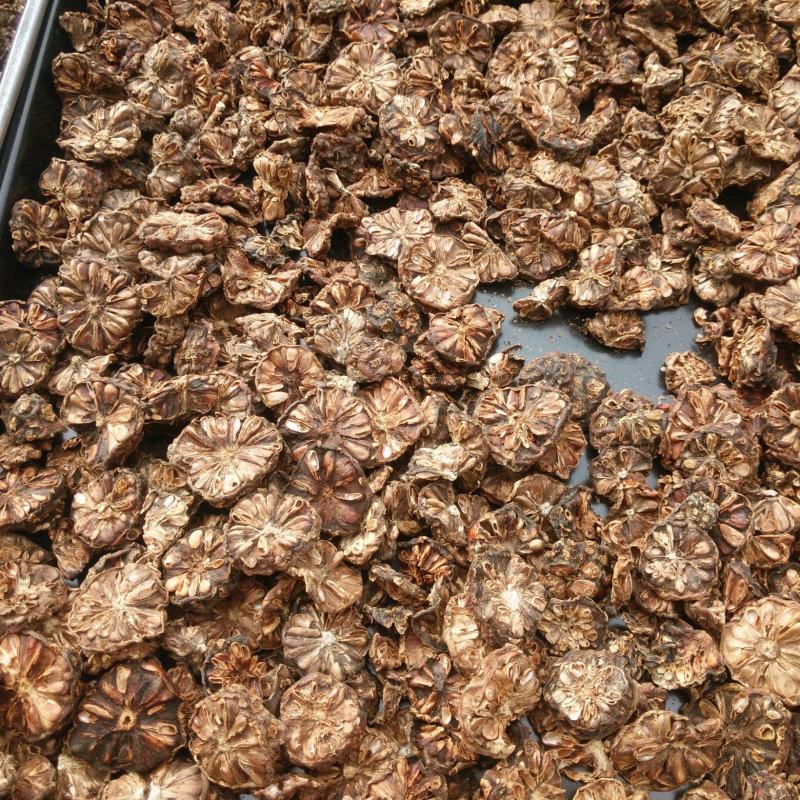 安臣诺丽干果正品散装批发诺丽果基地直达欢迎来点咨询