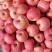 山东优质富士苹果纸袋大量供应，货源充足