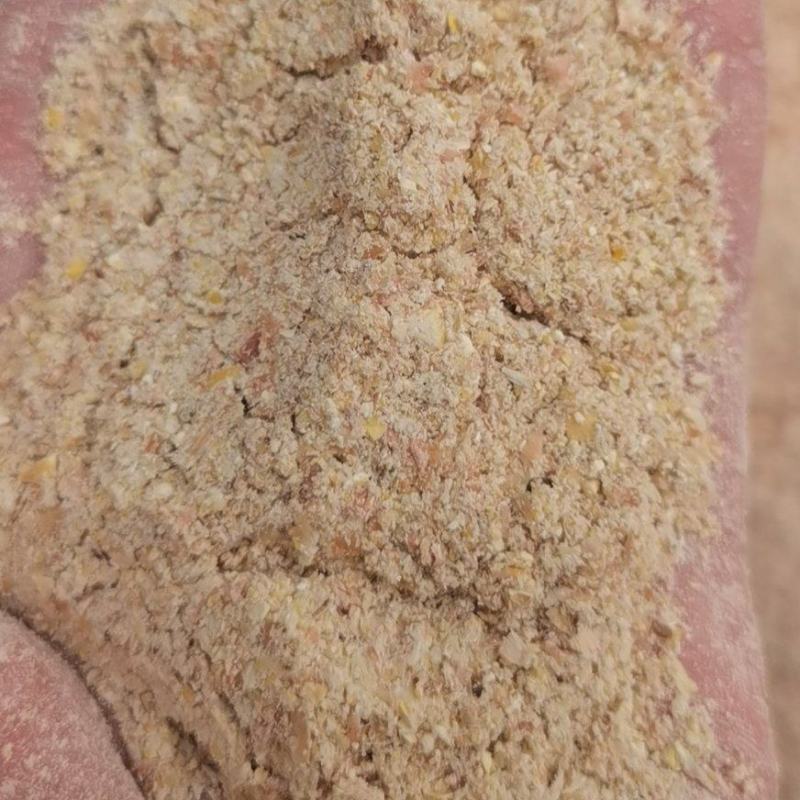 碎玉米东北烘干玉米淀面烘干粮颗粒料鸡鸭牛鹅养殖专用
