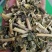 泽漆猫眼草泽七不满意可退换货只做正品