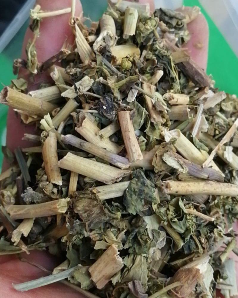 泽漆猫眼草泽七不满意可退换货只做正品