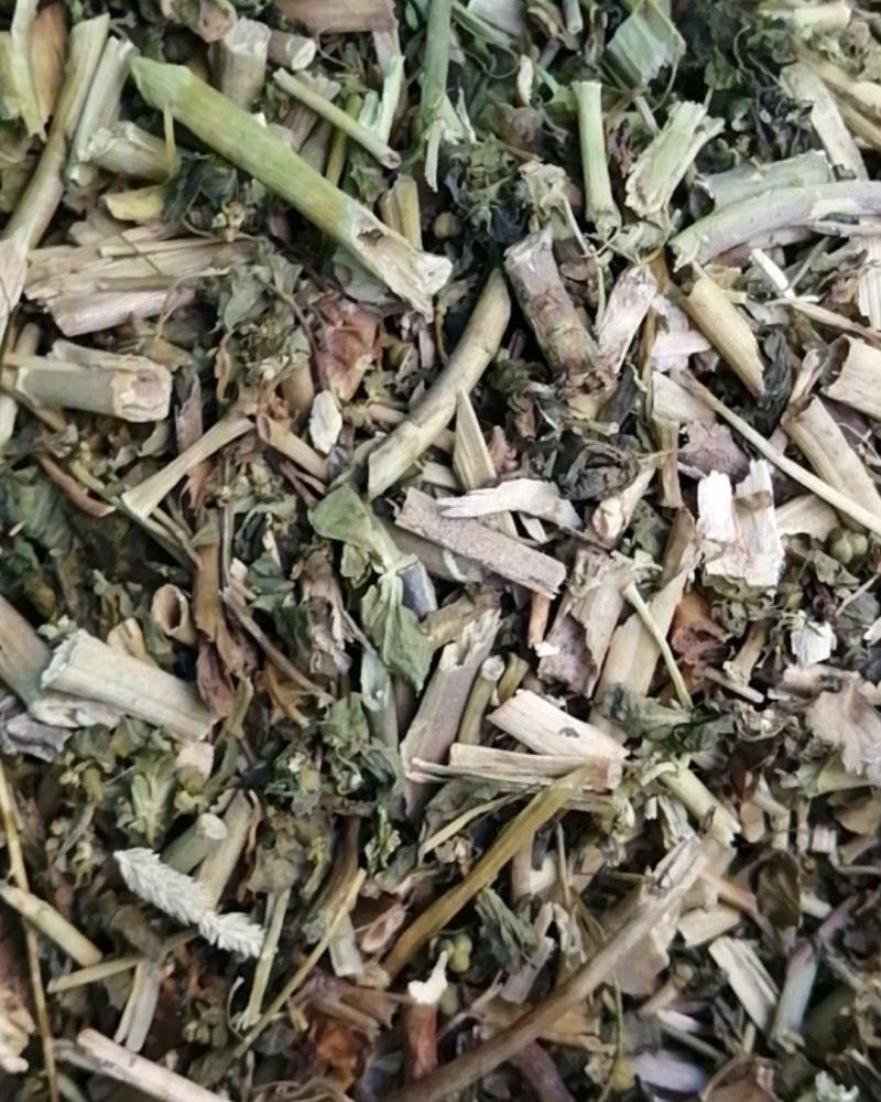 泽漆猫眼草泽七不满意可退换货只做正品
