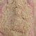 碎玉米东北烘干玉米淀面烘干粮颗粒料鸡鸭牛鹅养殖专用