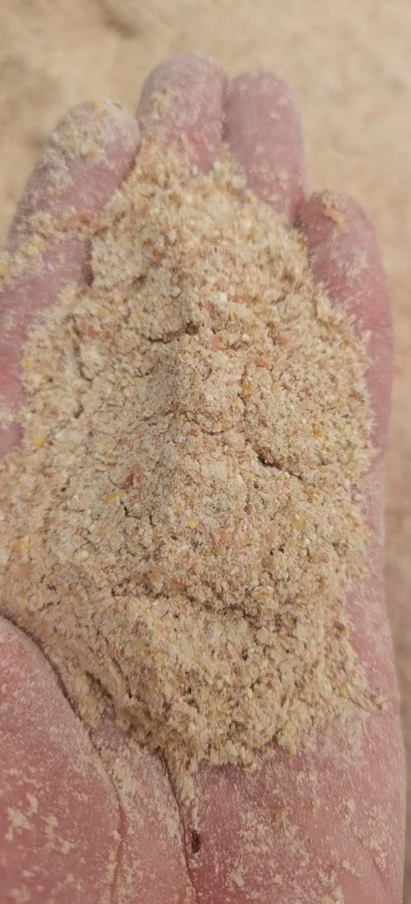 碎玉米东北烘干玉米淀面烘干粮颗粒料鸡鸭牛鹅养殖专用