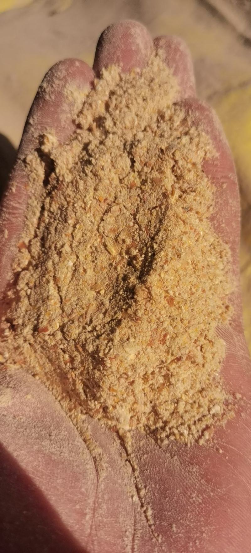 碎玉米东北烘干玉米淀面烘干粮颗粒料鸡鸭牛鹅养殖专用