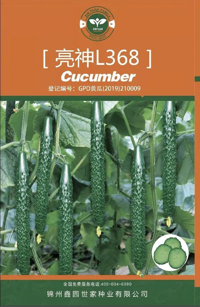 密刺黄瓜种子津优315抗寒抗病高产优质
