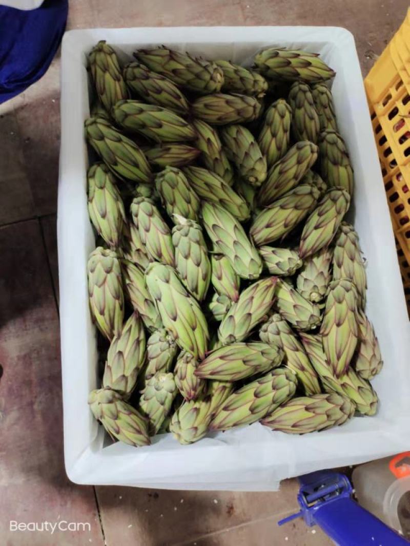 霸王花产地直发精品霸王花价格美丽，常年有货