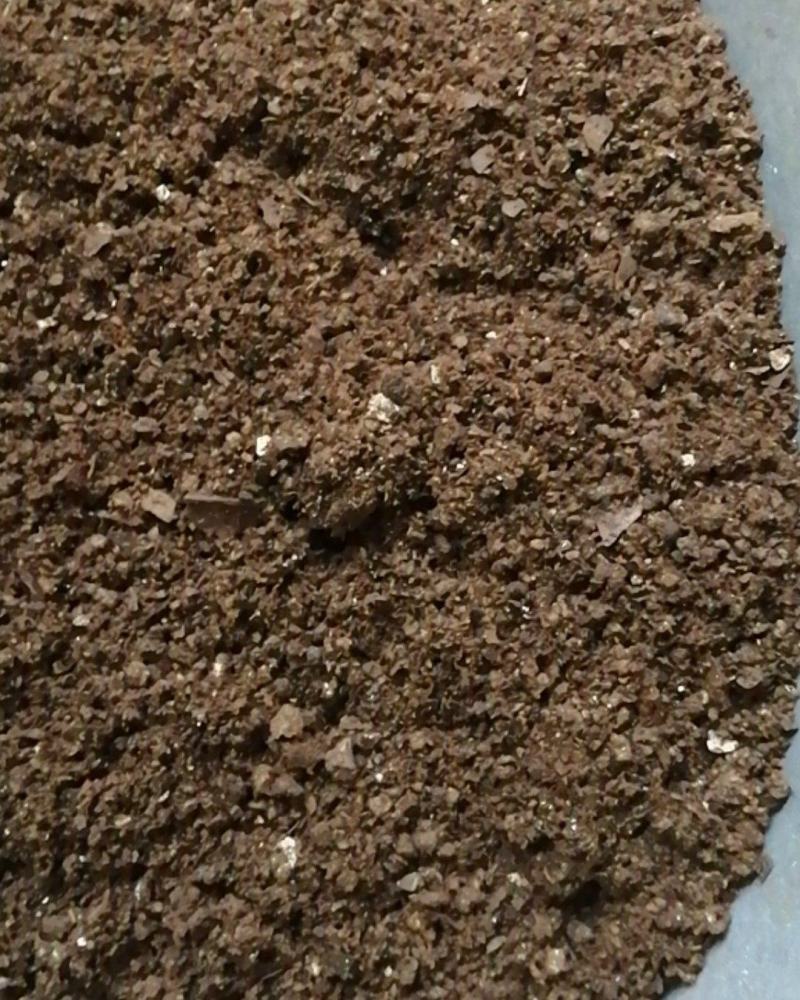 夜明砂蝙蝠屎蝙蝠粪便天鼠屎鼠法石肝黑砂星