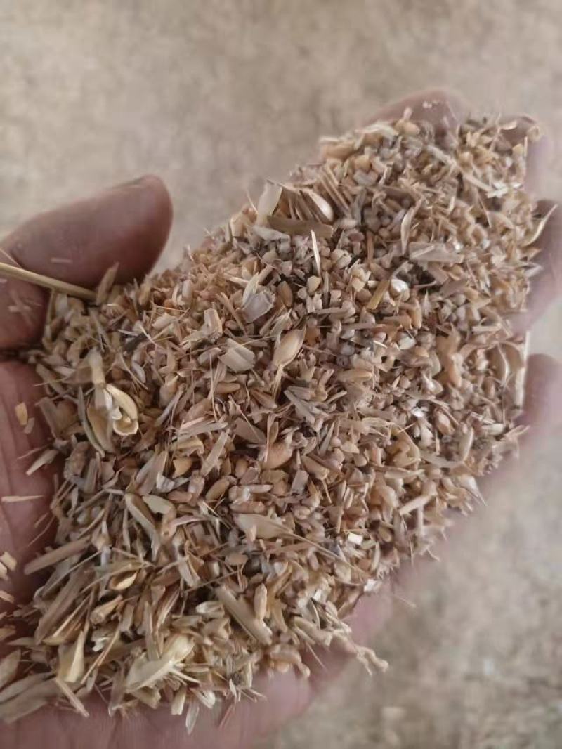 碎小麦，厂家一手货源，干净整齐，量大从优