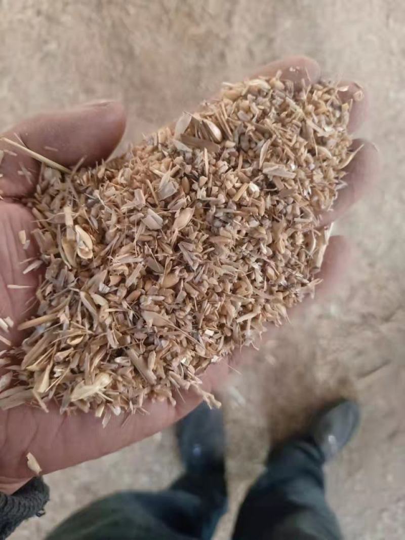 碎小麦，厂家一手货源，干净整齐，量大从优