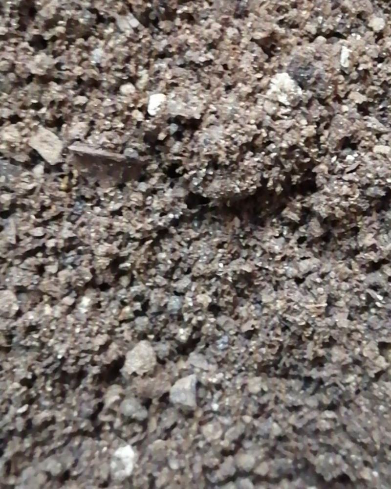 夜明砂蝙蝠屎蝙蝠粪便天鼠屎鼠法石肝黑砂星