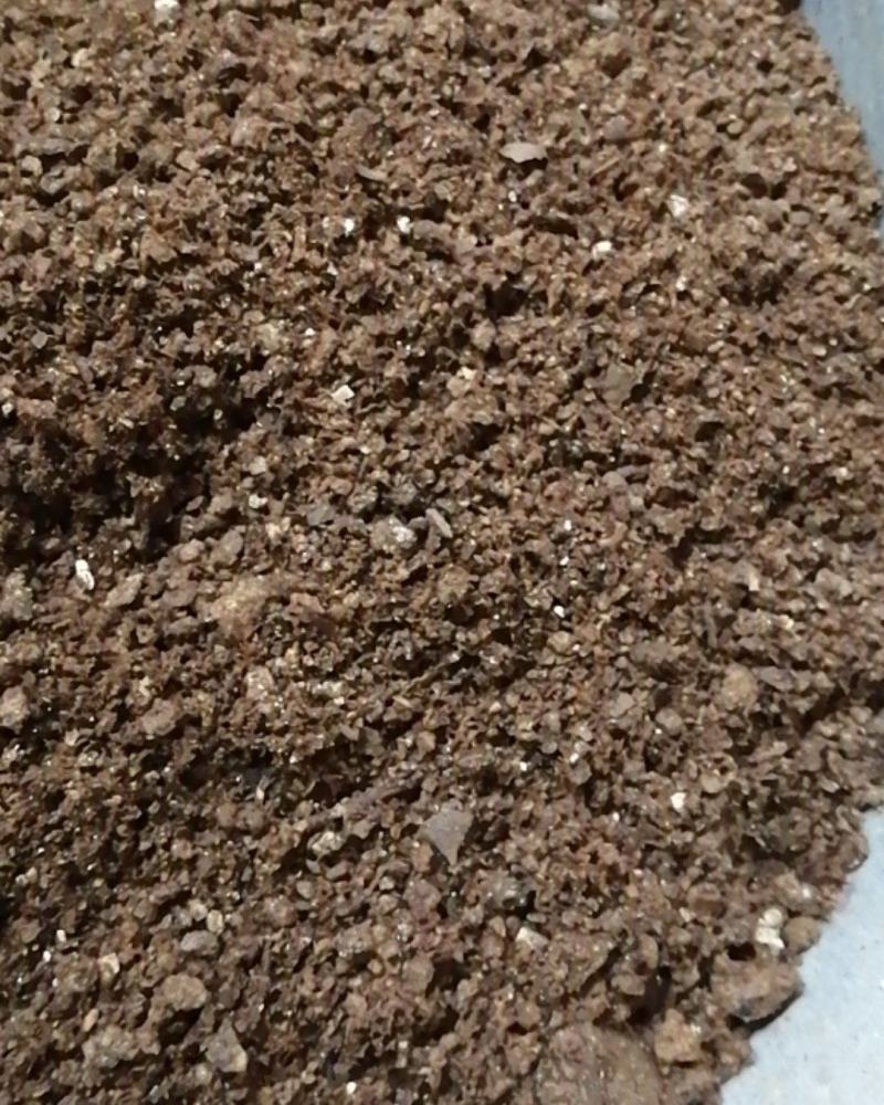 夜明砂蝙蝠屎蝙蝠粪便天鼠屎鼠法石肝黑砂星